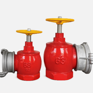 Van góc chữa cháy DN50/ DN65